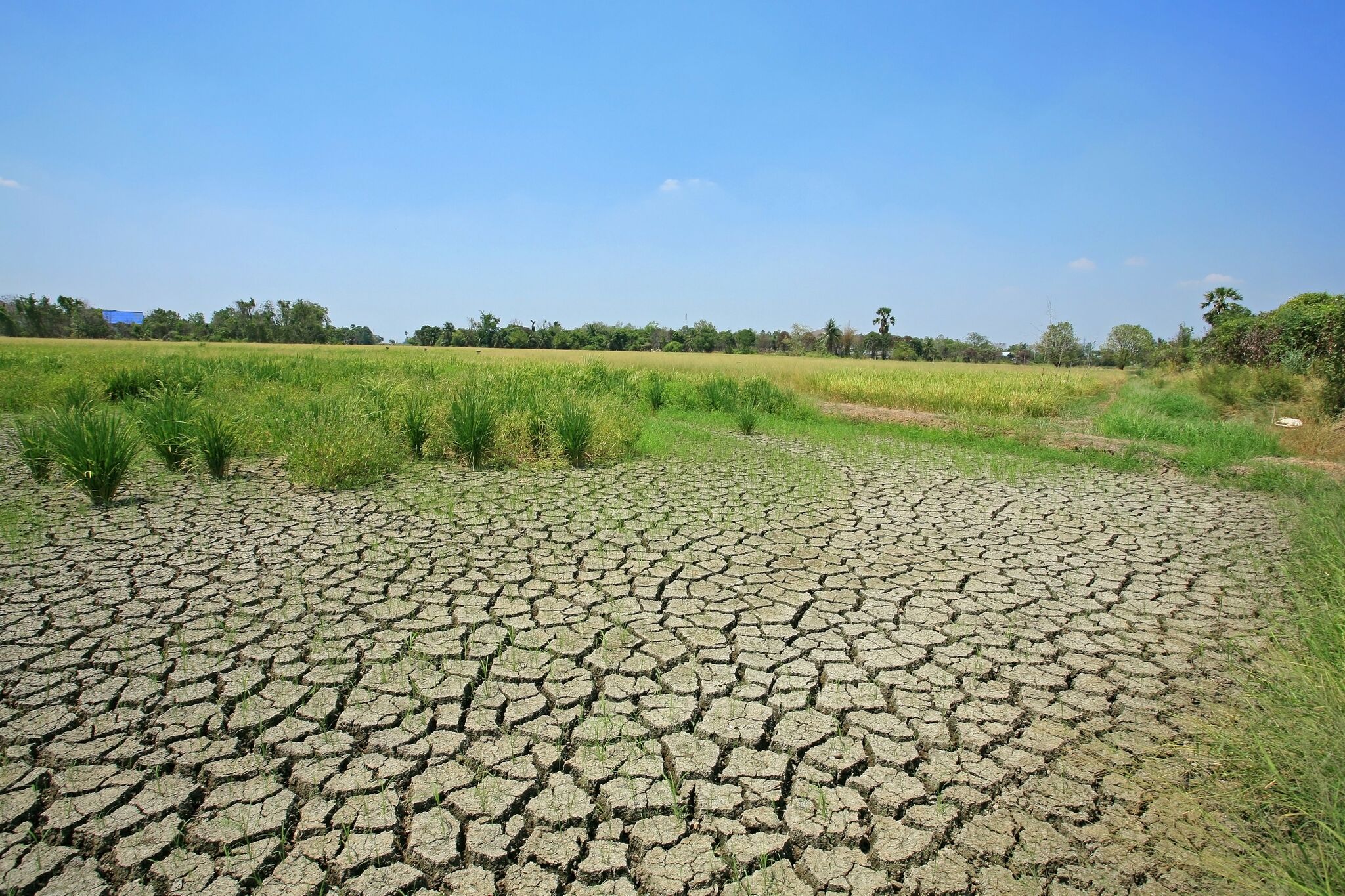 Land Degradation